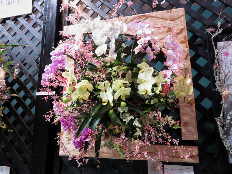 f:id:Nakano_Hitsuji:20200219124017j:plain f:id:Nakano_Hitsuji:20200219124017j:plain