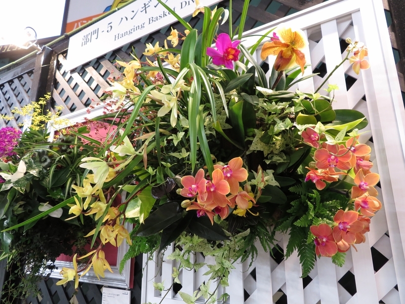 f:id:Nakano_Hitsuji:20200219124144j:plain f:id:Nakano_Hitsuji:20200219124144j:plain