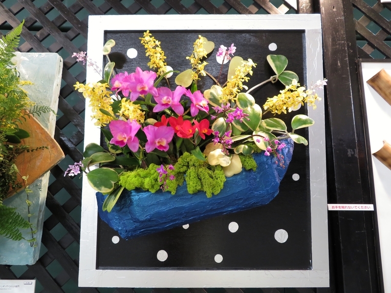 f:id:Nakano_Hitsuji:20200219124247j:plain f:id:Nakano_Hitsuji:20200219124247j:plain