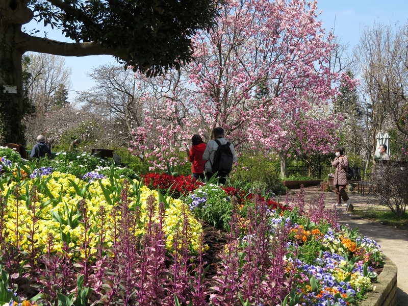 f:id:Nakano_Hitsuji:20200321111202j:plain f:id:Nakano_Hitsuji:20200321111202j:plain