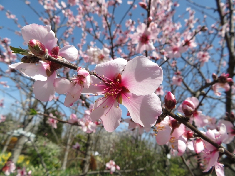 f:id:Nakano_Hitsuji:20200321113055j:plain f:id:Nakano_Hitsuji:20200321113055j:plain