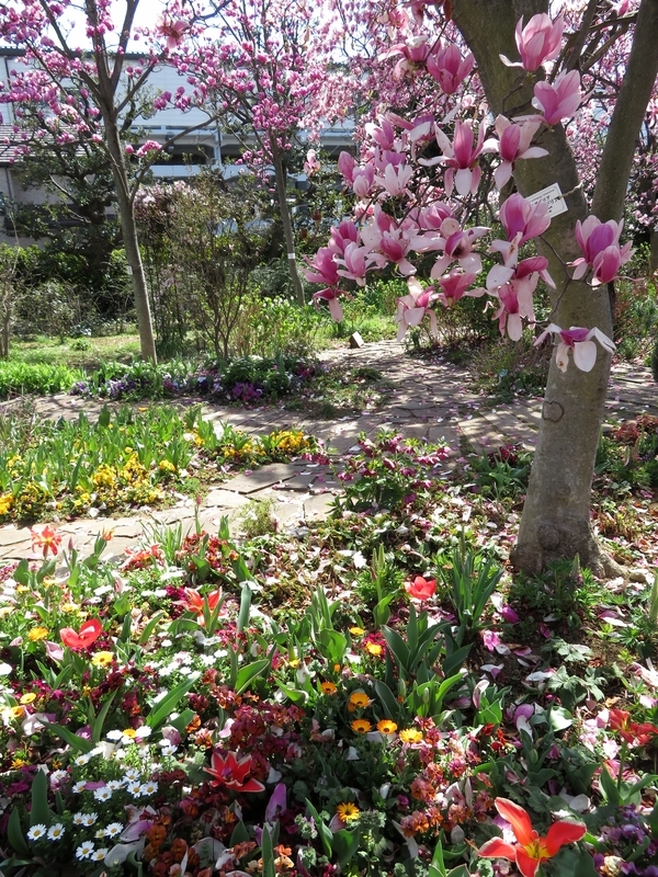 f:id:Nakano_Hitsuji:20200321113946j:plain f:id:Nakano_Hitsuji:20200321113946j:plain