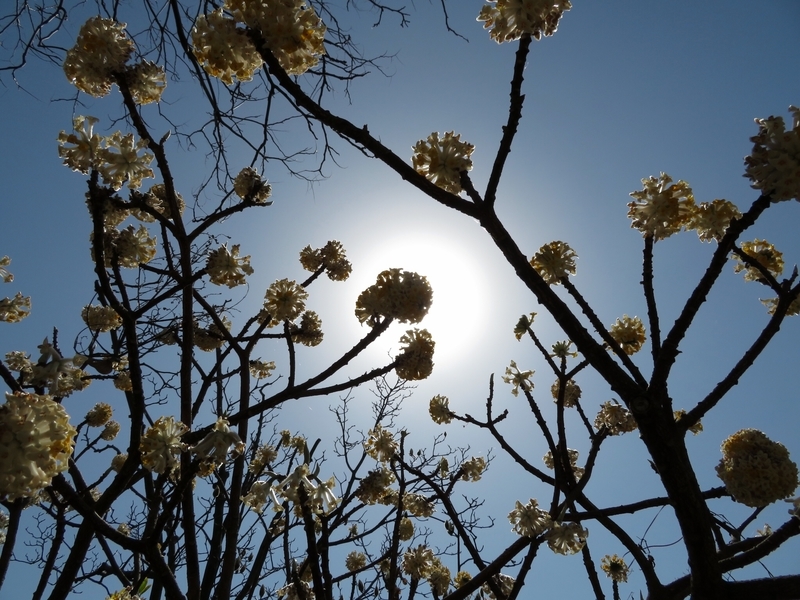 f:id:Nakano_Hitsuji:20200321120102j:plain f:id:Nakano_Hitsuji:20200321120102j:plain