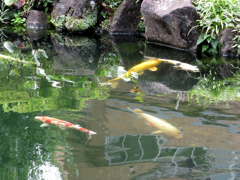 f:id:Nakano_Hitsuji:20200730140043j:plain f:id:Nakano_Hitsuji:20200730140043j:plain