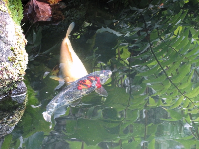 f:id:Nakano_Hitsuji:20200730140054j:plain f:id:Nakano_Hitsuji:20200730140054j:plain