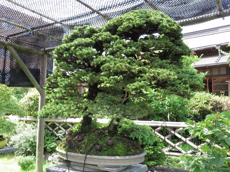 f:id:Nakano_Hitsuji:20200730140638j:plain f:id:Nakano_Hitsuji:20200730140638j:plain