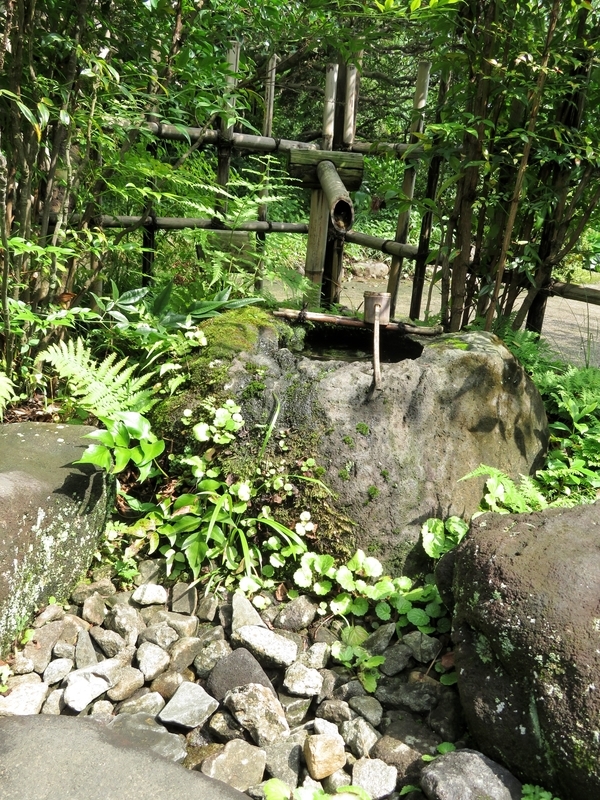 f:id:Nakano_Hitsuji:20200730140829j:plain f:id:Nakano_Hitsuji:20200730140829j:plain