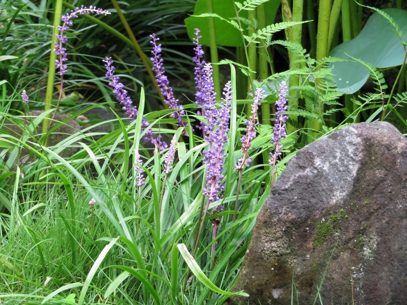 f:id:Nakano_Hitsuji:20200730142454j:plain f:id:Nakano_Hitsuji:20200730142454j:plain