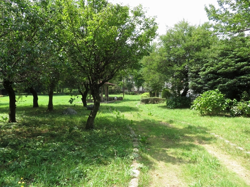 f:id:Nakano_Hitsuji:20200812103645j:plain f:id:Nakano_Hitsuji:20200812103645j:plain
