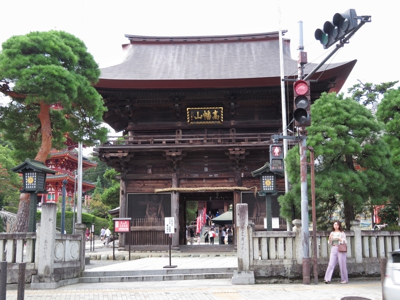 f:id:Nakano_Hitsuji:20200922120359j:plain f:id:Nakano_Hitsuji:20200922120359j:plain