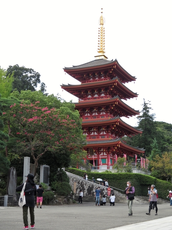 f:id:Nakano_Hitsuji:20200922120503j:plain f:id:Nakano_Hitsuji:20200922120503j:plain