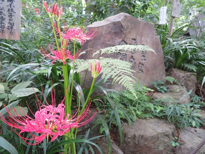 f:id:Nakano_Hitsuji:20200922123138j:plain f:id:Nakano_Hitsuji:20200922123138j:plain