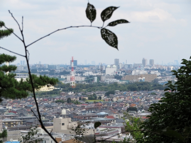 f:id:Nakano_Hitsuji:20200922125748j:plain f:id:Nakano_Hitsuji:20200922125748j:plain