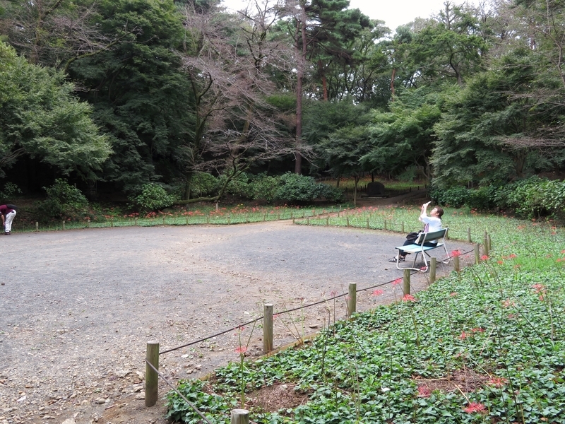 f:id:Nakano_Hitsuji:20200922130927j:plain f:id:Nakano_Hitsuji:20200922130927j:plain