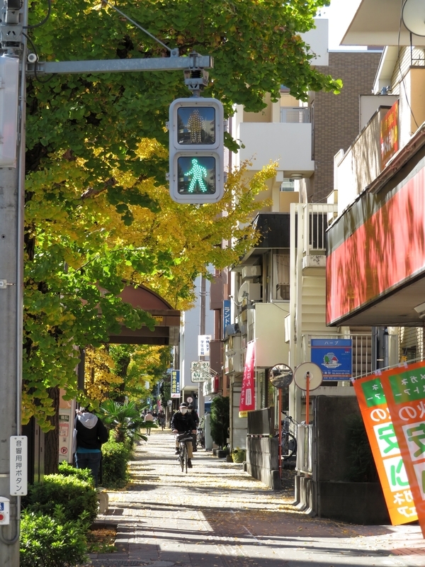 f:id:Nakano_Hitsuji:20201110122329j:plain