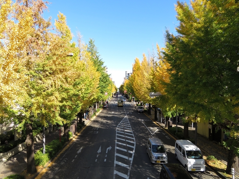 f:id:Nakano_Hitsuji:20201110122427j:plain