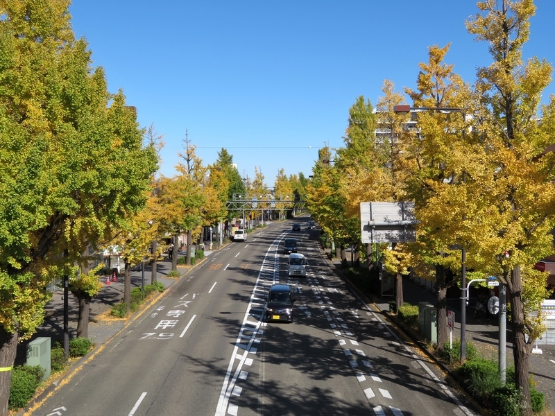 f:id:Nakano_Hitsuji:20201110123955j:plain