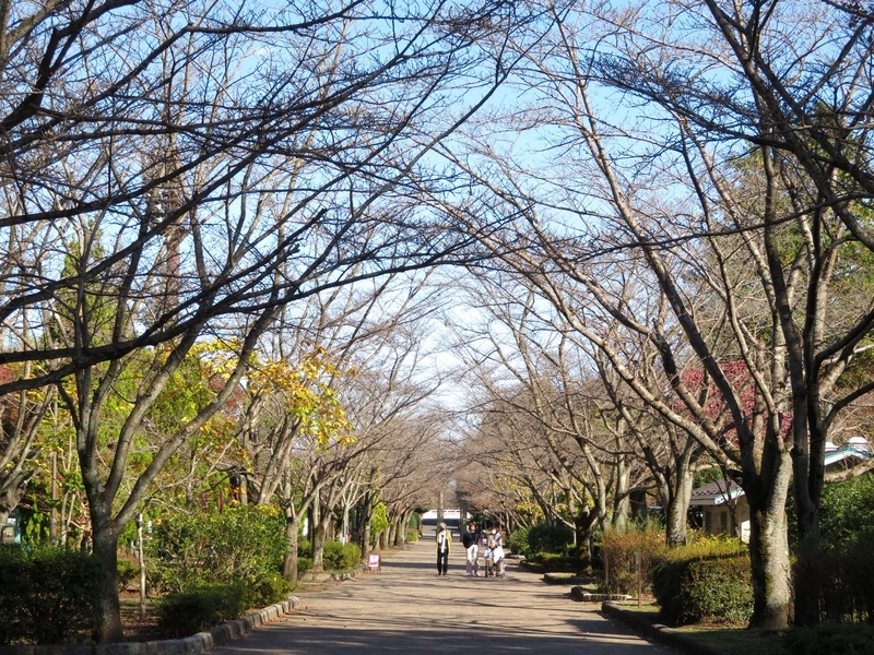 f:id:Nakano_Hitsuji:20201110131617j:plain