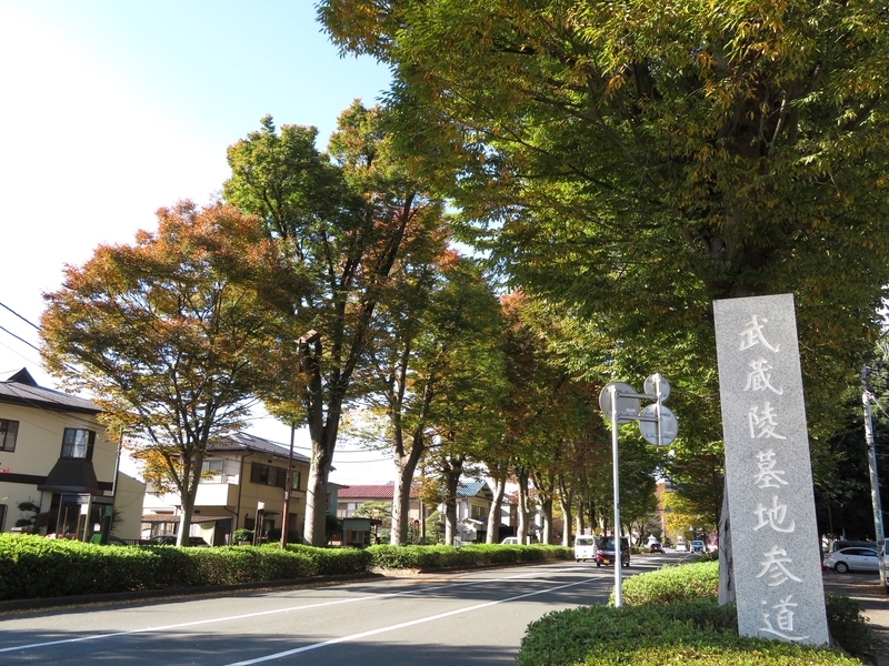 f:id:Nakano_Hitsuji:20201110133030j:plain