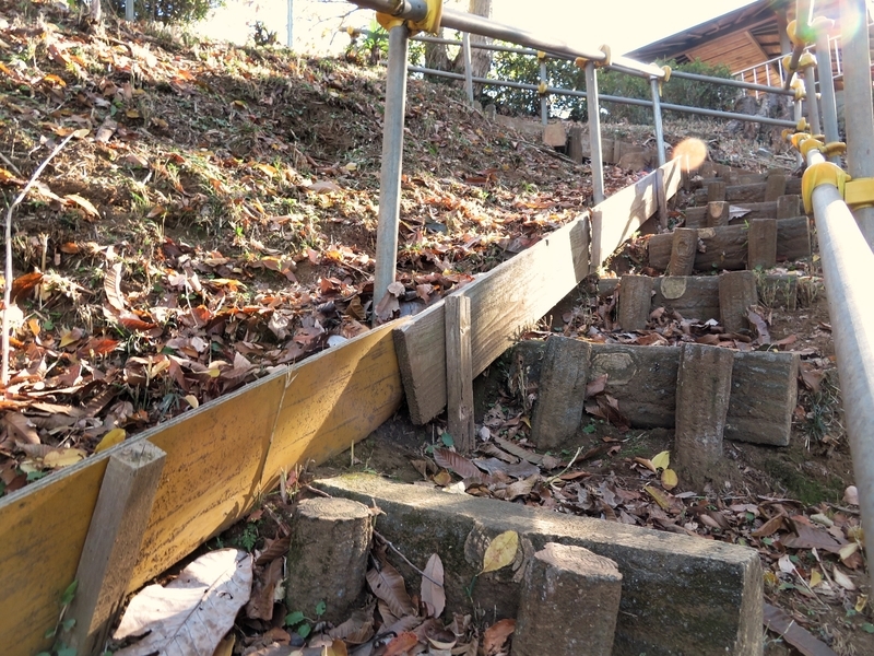 f:id:Nakano_Hitsuji:20201204122812j:plain