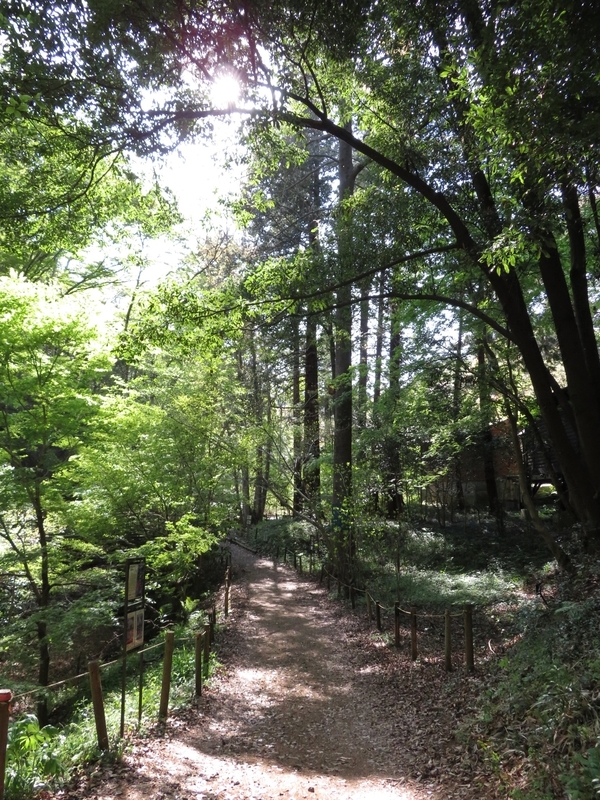 f:id:Nakano_Hitsuji:20210412150047j:plain