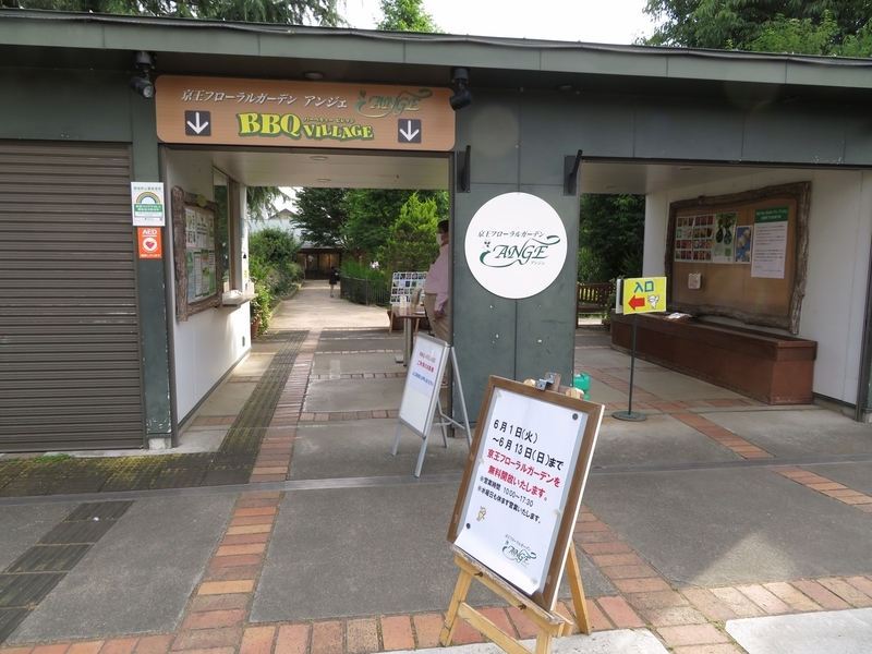 f:id:Nakano_Hitsuji:20210611161954j:plain