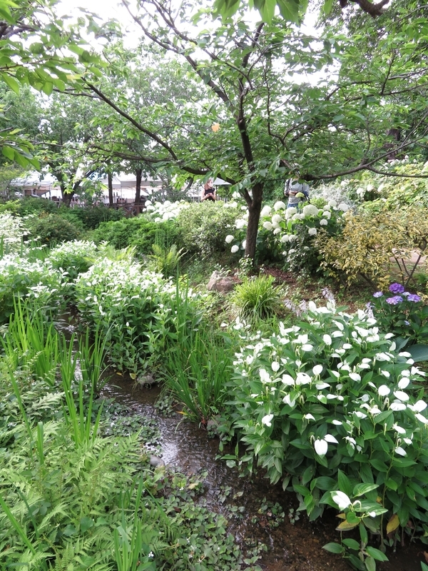 f:id:Nakano_Hitsuji:20210611162526j:plain