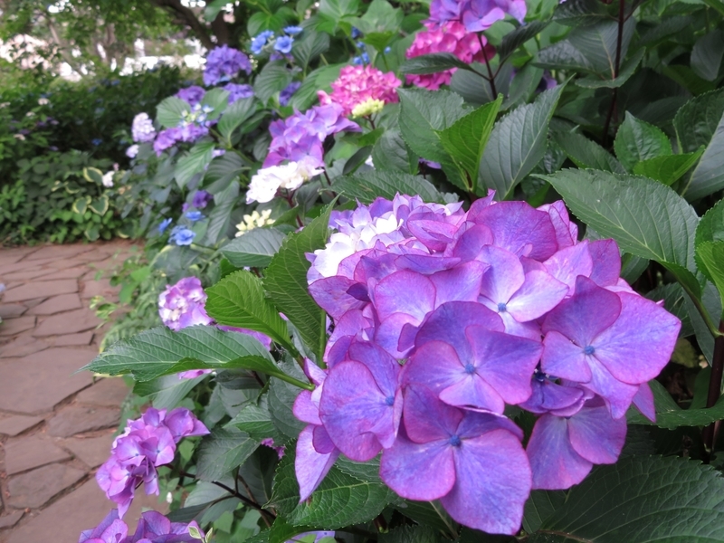 f:id:Nakano_Hitsuji:20210611165738j:plain