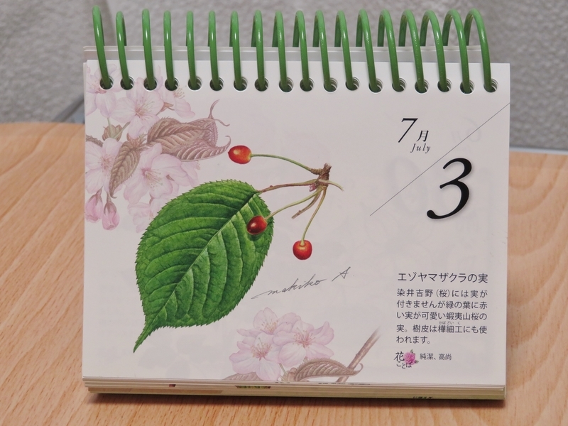 最近のお買い物(高尾山に咲く花・安藤牧子毎年カレンダー 北海道