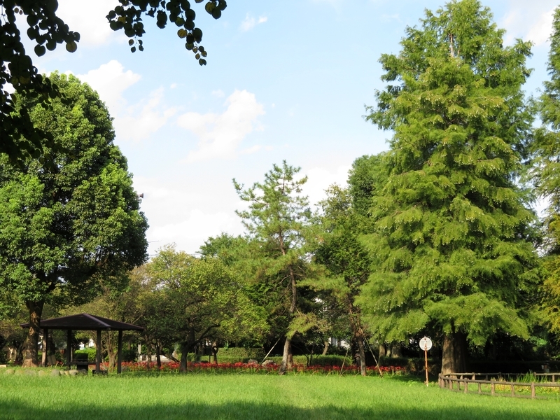 f:id:Nakano_Hitsuji:20210923144010j:plain
