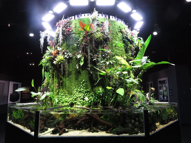 NATURE AQUARIUM EXHIBITION 2021 TOKYOに行ってきました - 週末花探し