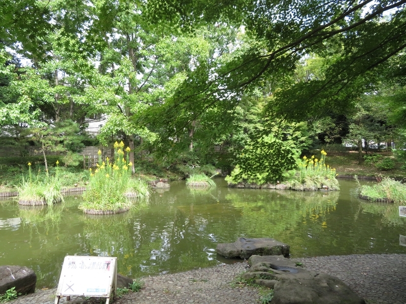 f:id:Nakano_Hitsuji:20211010122022j:plain