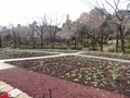 2021/12/10/PIET OUDOLF GARDEN TOKYO