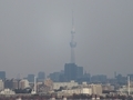 2021/12/10/東京スカイツリー１