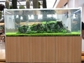 2021/12/10/水槽１