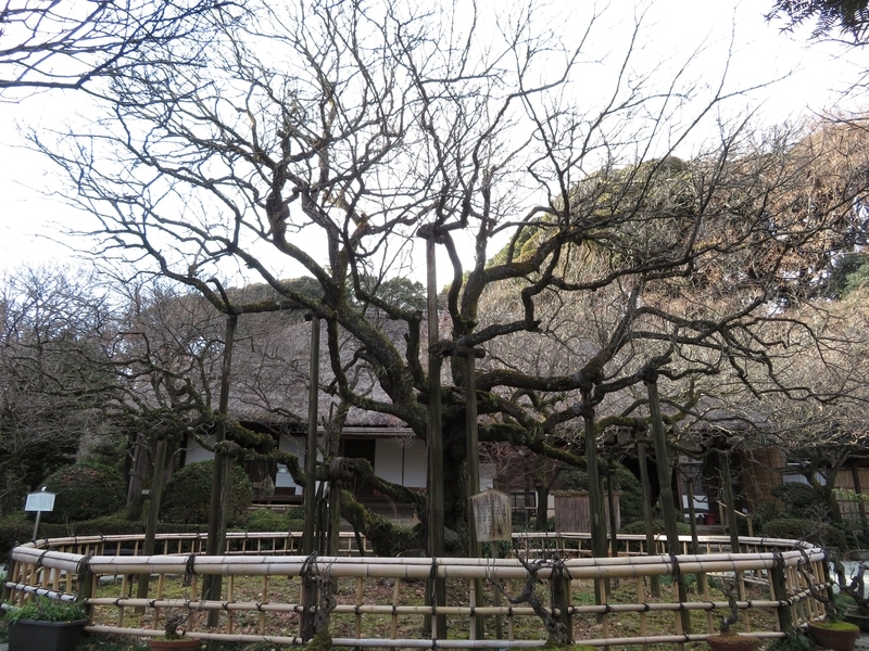 f:id:Nakano_Hitsuji:20220115143520j:plain