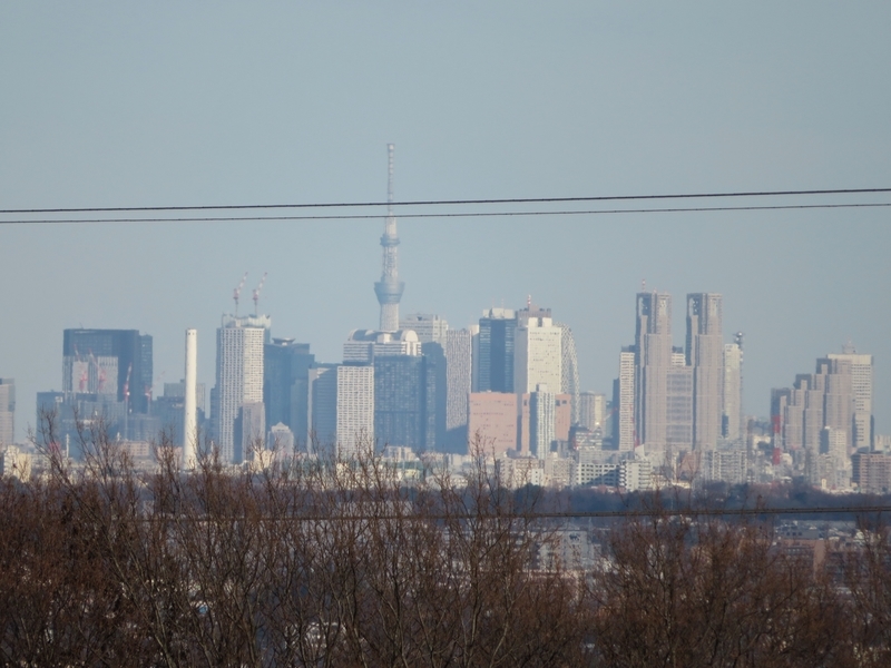 f:id:Nakano_Hitsuji:20220115145341j:plain