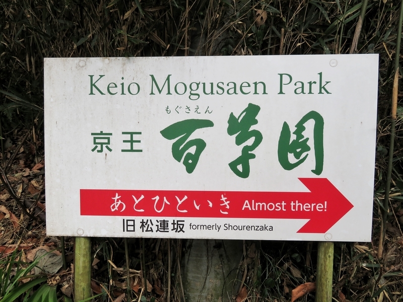 f:id:Nakano_Hitsuji:20220115153708j:plain