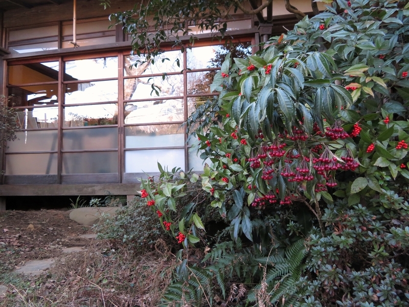 f:id:Nakano_Hitsuji:20220121130732j:plain