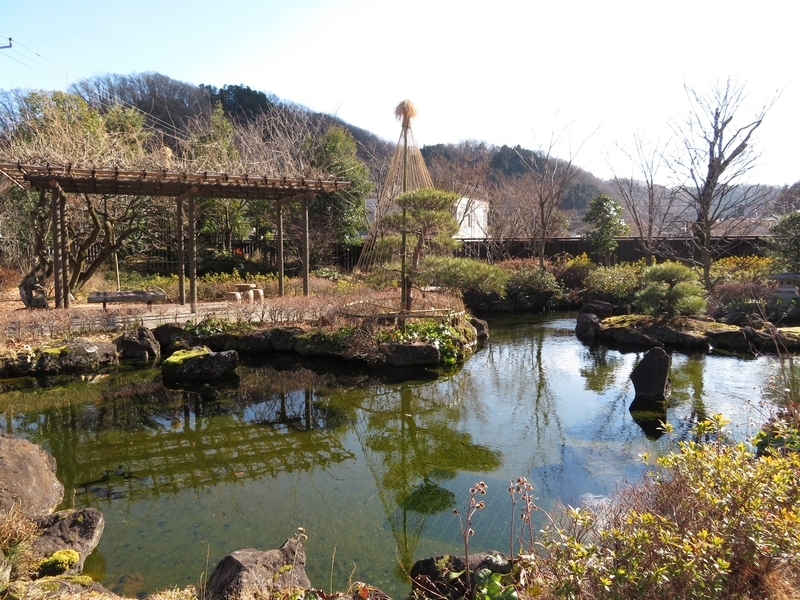 f:id:Nakano_Hitsuji:20220121131418j:plain