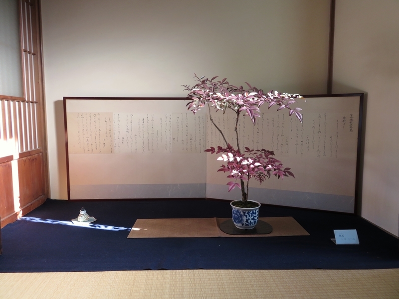 f:id:Nakano_Hitsuji:20220121134105j:plain