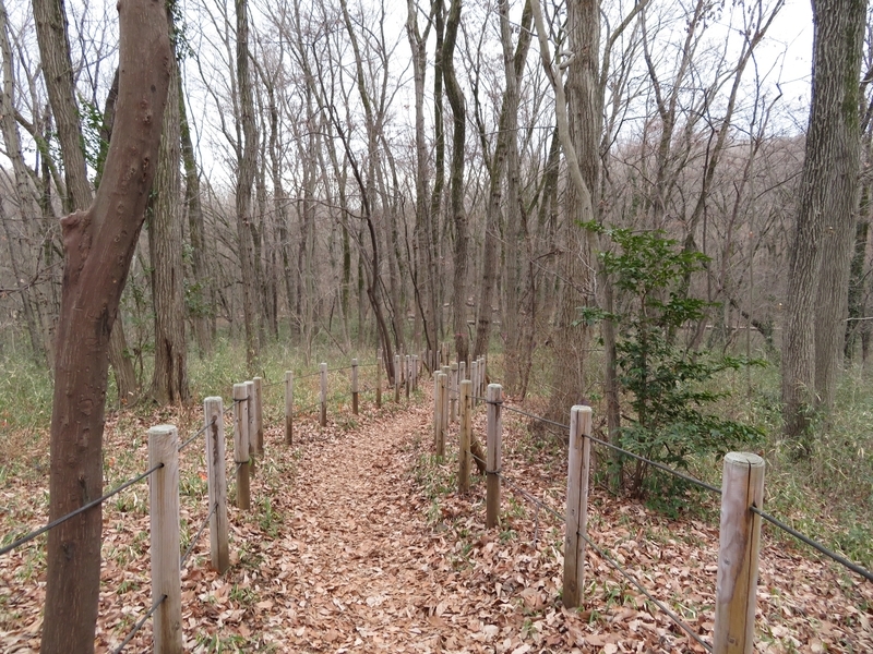 f:id:Nakano_Hitsuji:20220205153512j:plain