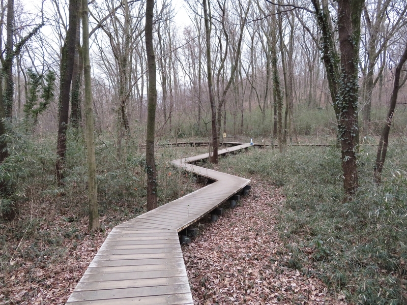 f:id:Nakano_Hitsuji:20220205154053j:plain