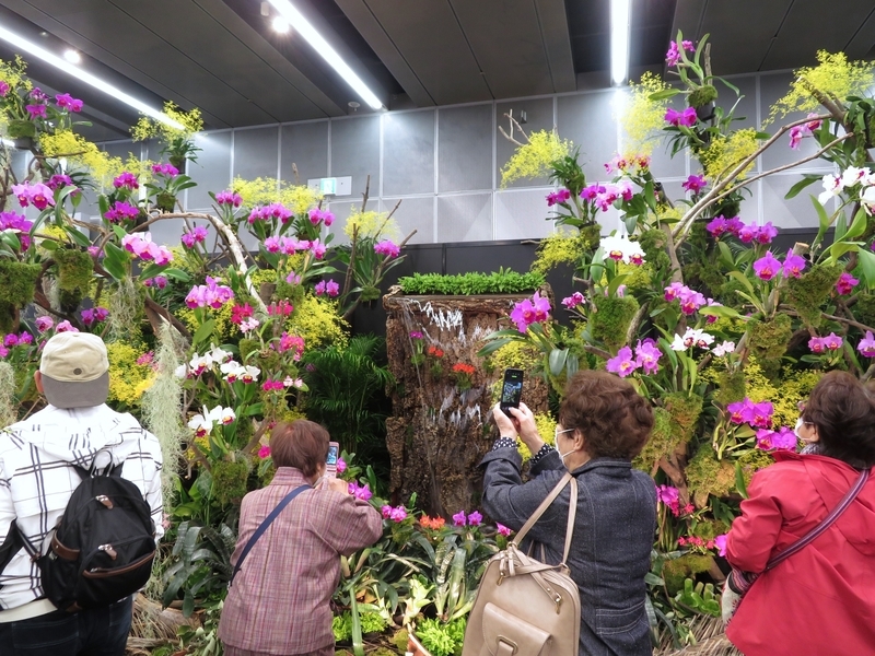 f:id:Nakano_Hitsuji:20220325114902j:plain