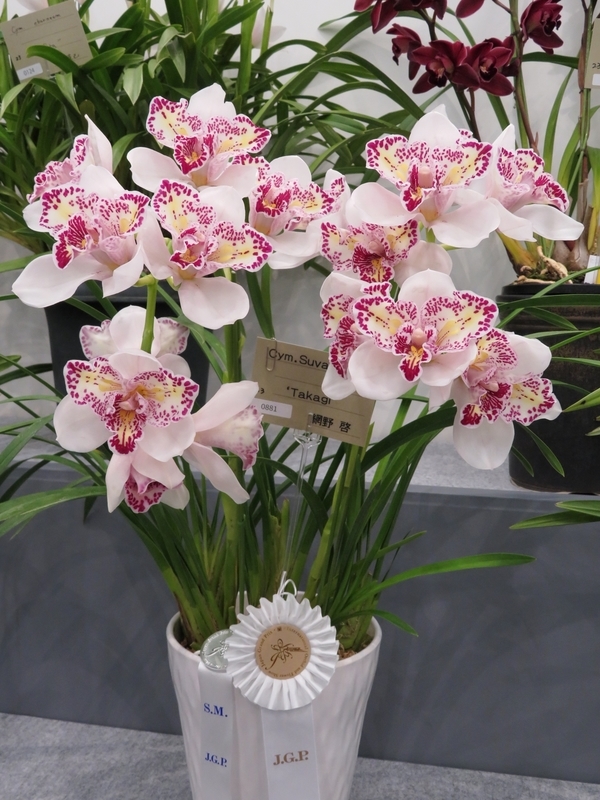 f:id:Nakano_Hitsuji:20220325120535j:plain