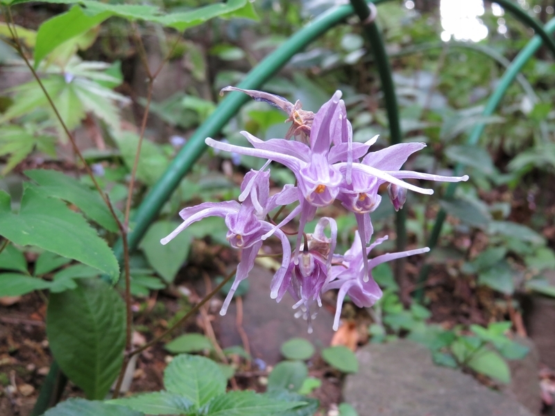 f:id:Nakano_Hitsuji:20220413162258j:plain