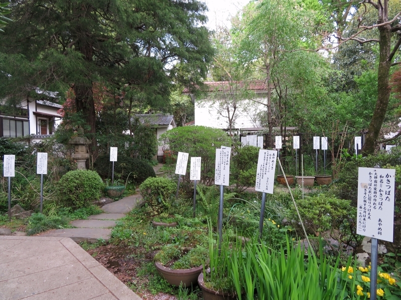 f:id:Nakano_Hitsuji:20220413164724j:plain