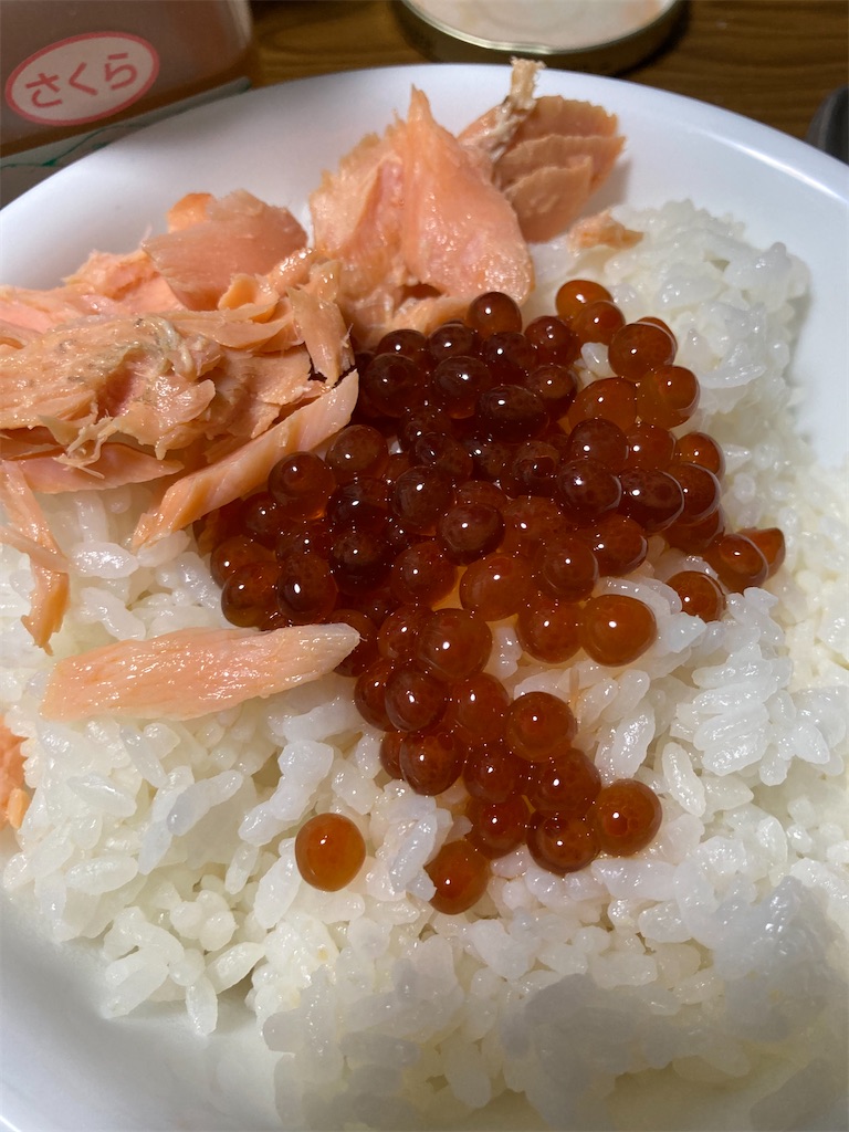 f:id:Nakase:20231216010551j:image