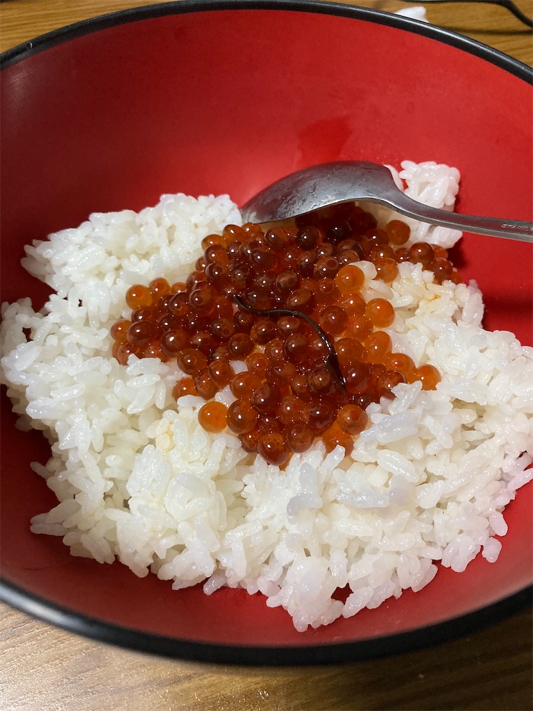 f:id:Nakase:20231216010708j:image