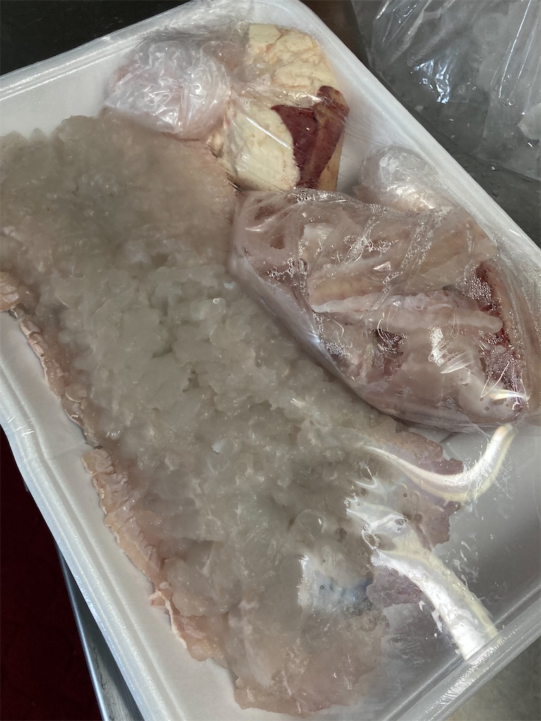 f:id:Nakase:20231216010711j:image